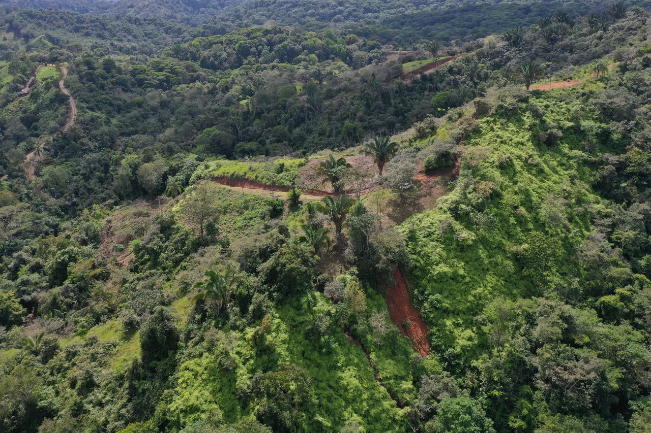12 Acre Ocean View Farm in a Private Agricultural Community - Gallery image 11