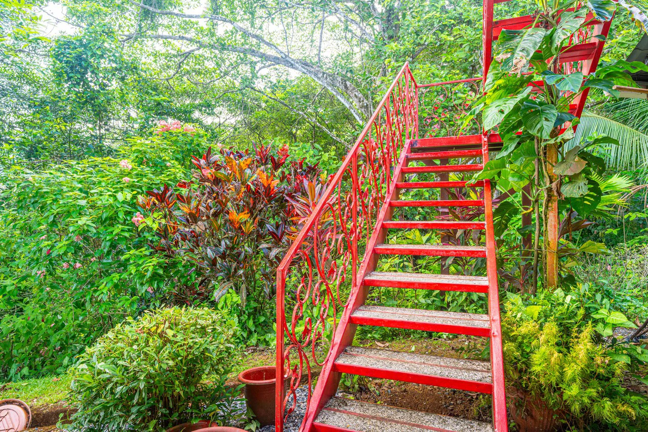 Amazing Mountain View and Ocean View House and Guest House on 4.5 Acres of land in Ojochal - Gallery image 19