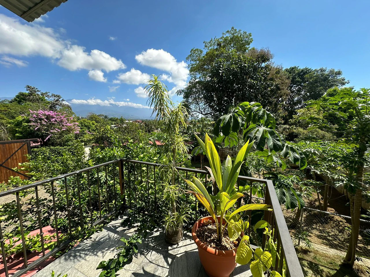 Charming 3-Bedroom Home with Valley Views Near Chirripo - Gallery image 21