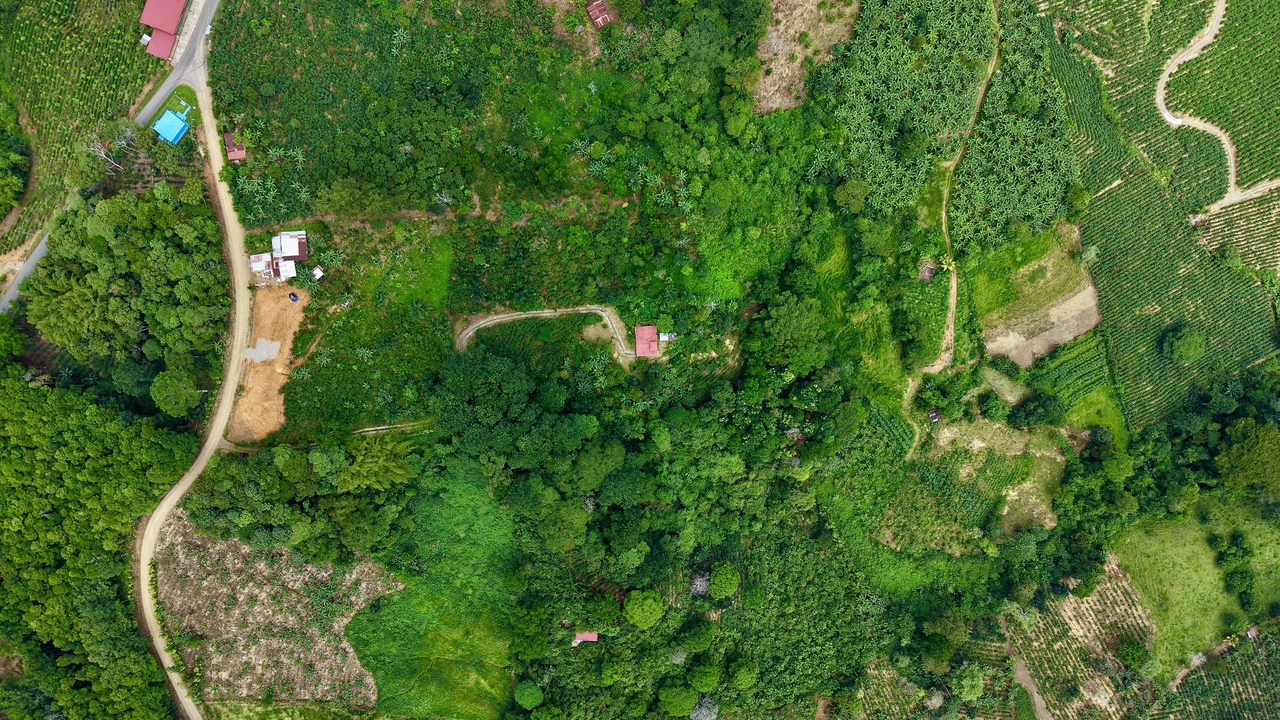 FINCA CON CASA Y MIRADOR: Mountain Agricultural Land For Sale in La Amistad - Gallery image 2
