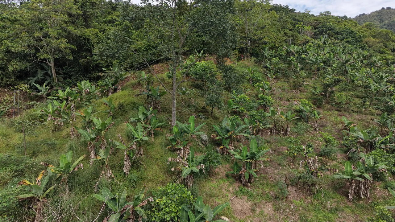 Mountain Home Construction Site For Sale in Chimirol de Rivas - photo 3