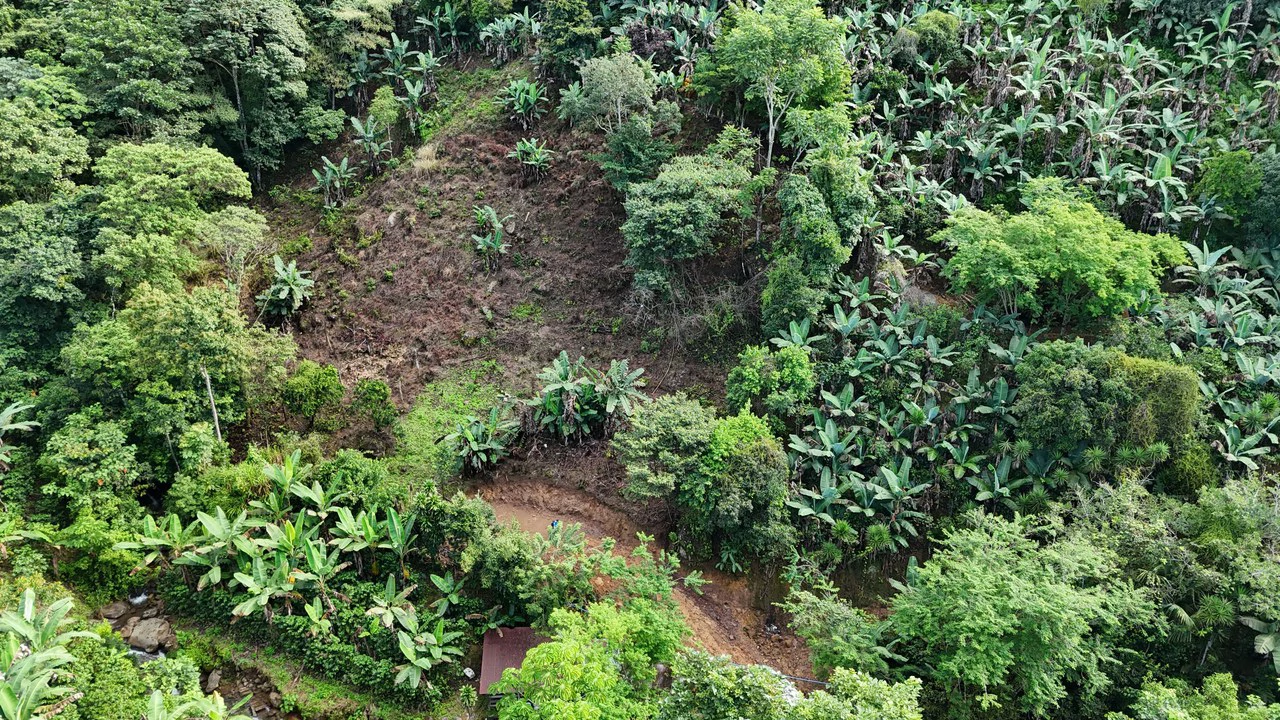 Lote en Chimirol.: Mountain Home Construction Site For Sale in Buena Vista - Gallery image 10