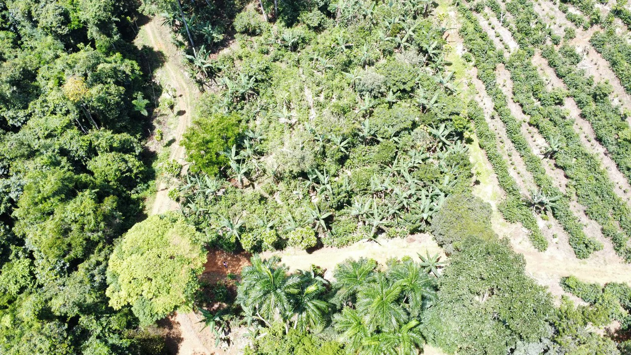 Propiedad en San Rafael de Platanares, Costa Rica: Mountain Home Construction Site For Sale in San Rafael - Gallery image 8