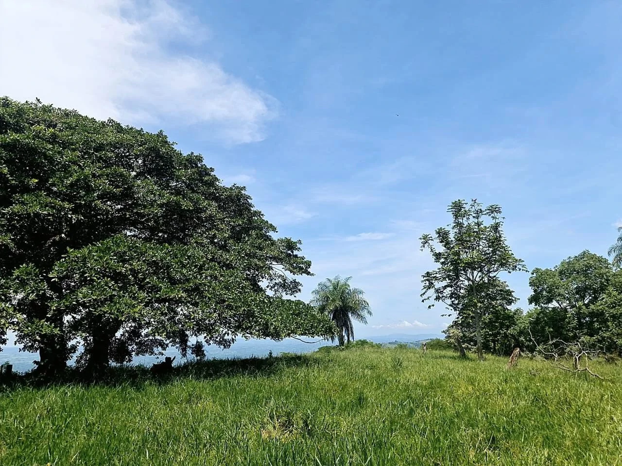 Near the Coast and Mountain Home Construction Site For Sale in Orotina y Caldera - Gallery image 20