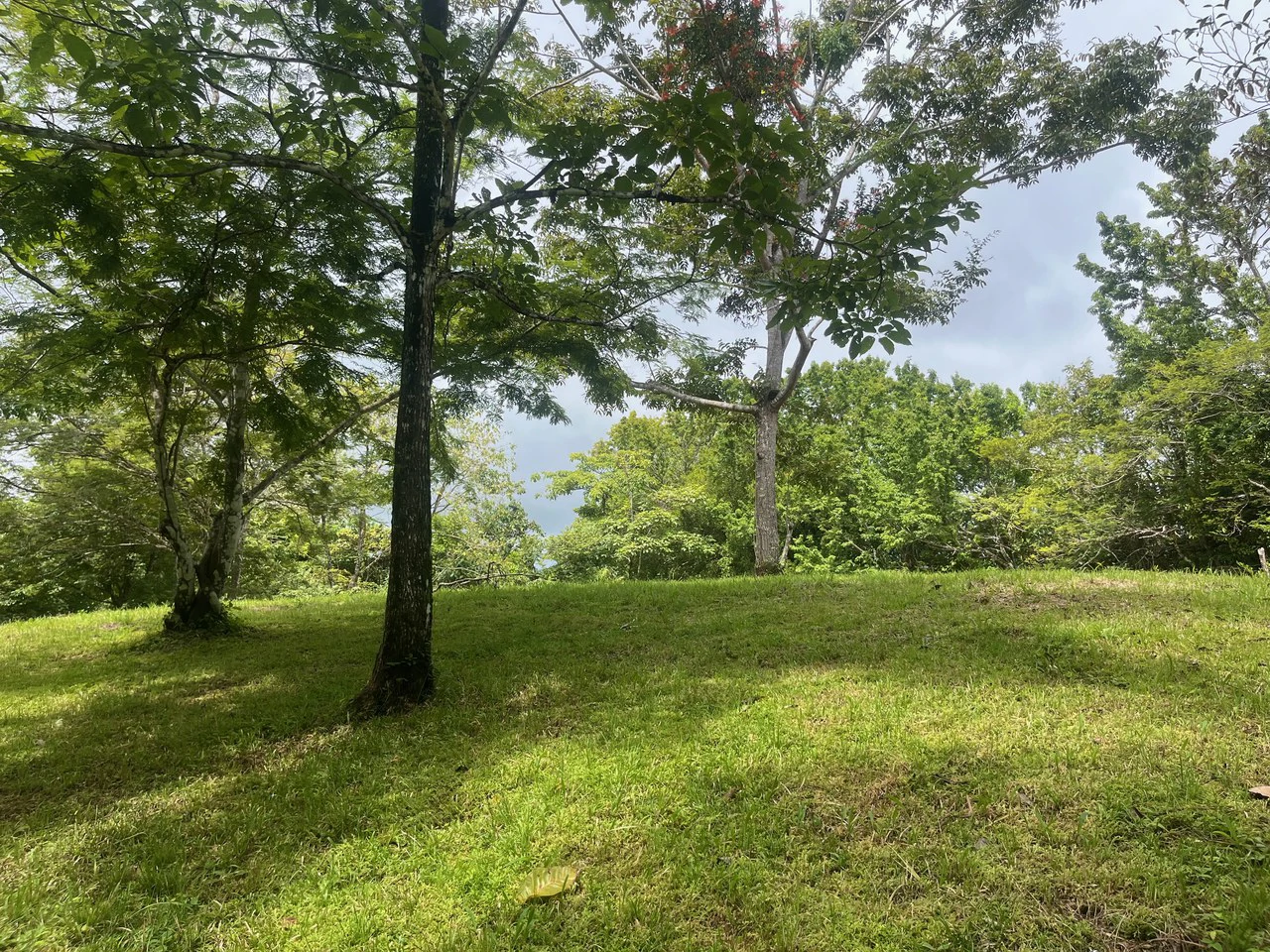 6000m2 Ready to Build Lot in Delicias: Great Price with Project and Permits included