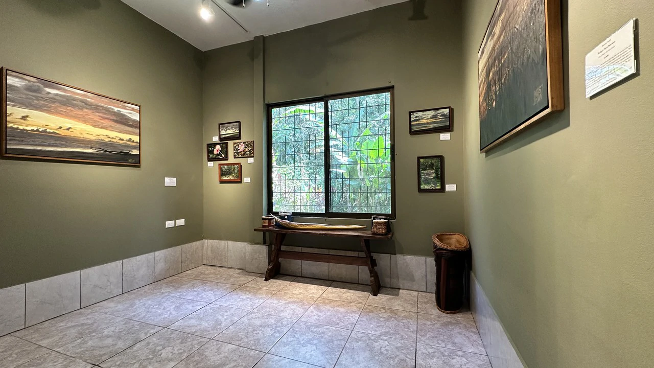 Commercial Space In Prime High Traffic Area in Uvita Costa Rica with garden - Gallery image 7