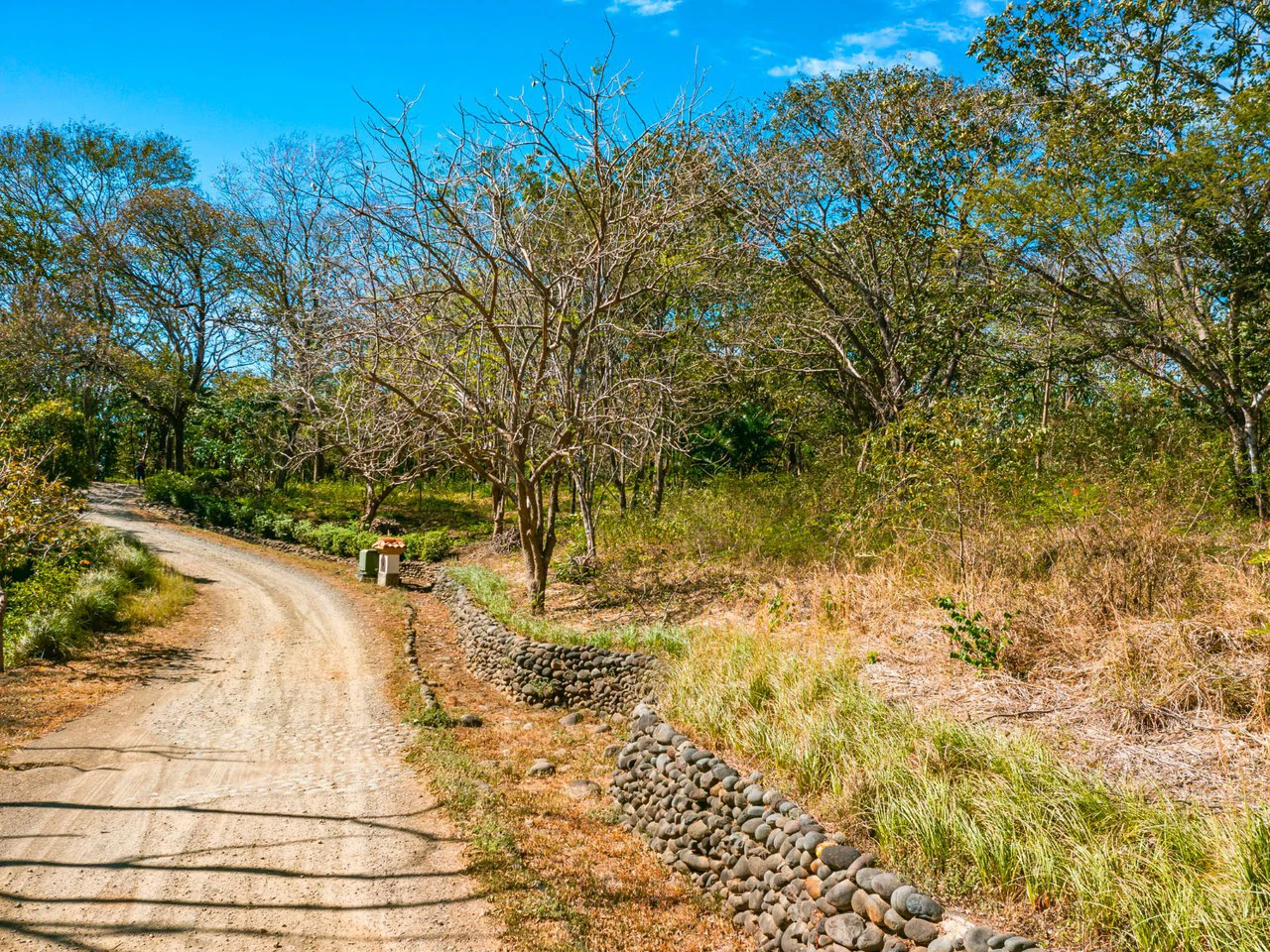 Tierra Pacifica #9: Secluded Lot in Gated Eco Community - Gallery image 4