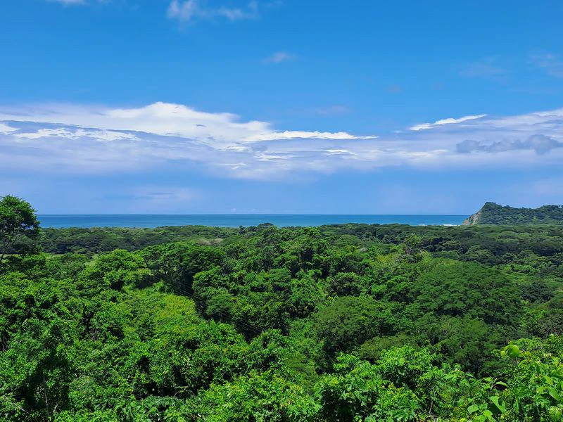 Villa Buena Vista y Lote Linda Vista: Exceptional 2.8-Acre Estate with Luxury 4-Bedroom Home, Panoramic Views, and Expansion Lot, Just Minutes from Samara - Gallery image 6