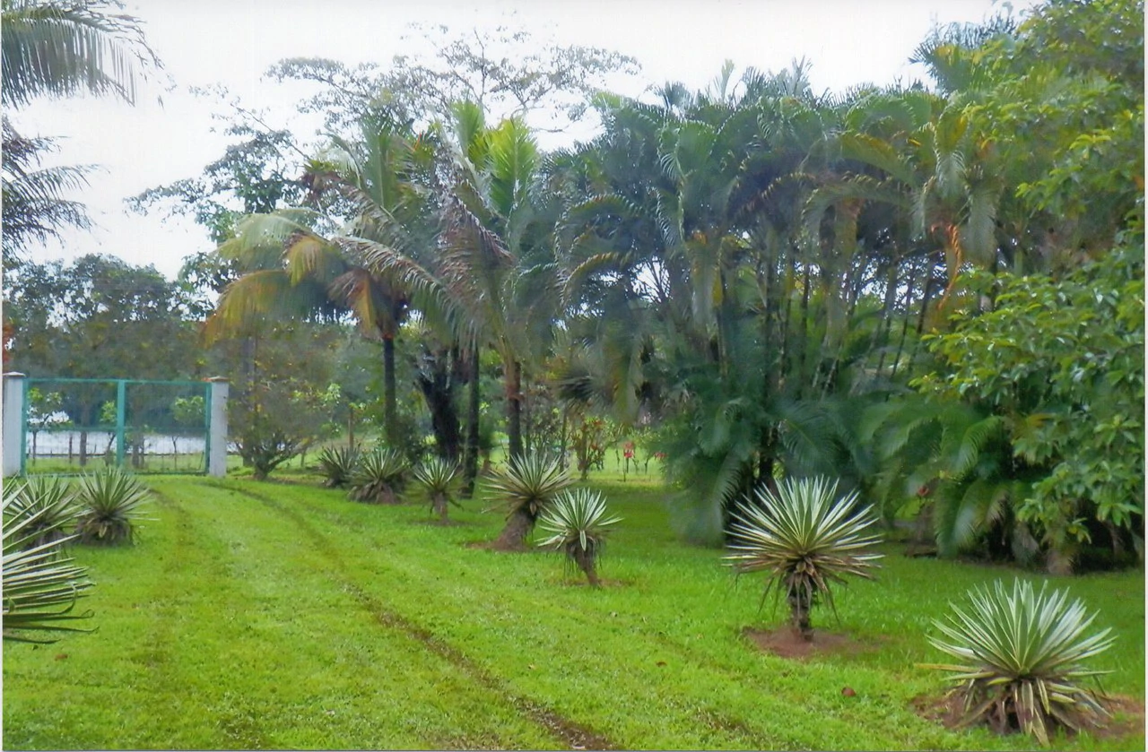 Propiedad muy grande: Countryside House For Sale in Caño Negro