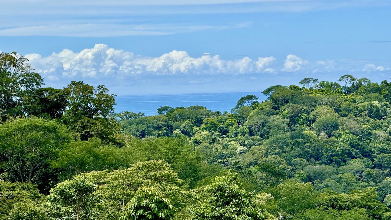 Stunning Residential Lots in Uvita - Panoramic Ocean & Mountain Views - Gallery image 2