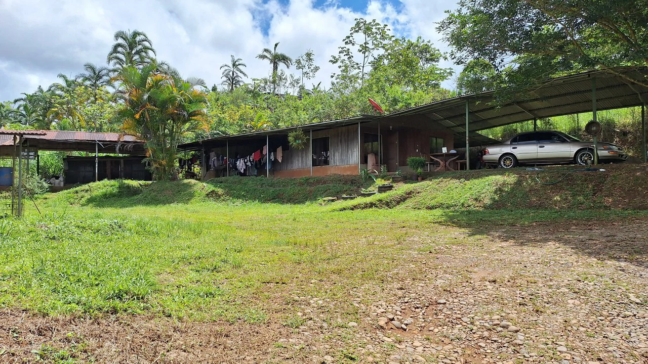 Se vende lote agrícola, en Cajón, Perez Zeledon.: Mountain Home Construction Site For Sale in Cajón - Gallery image 4