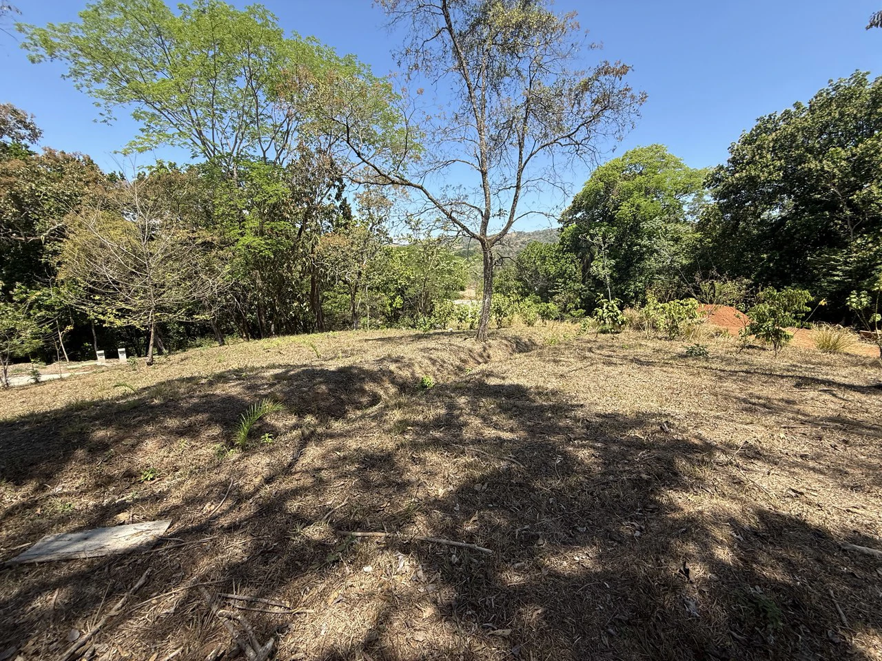 Ecovilla San Mateo: Ecovilla San Mateo – Lot for sale -Nature, Community & Conscious Living - Gallery image 7