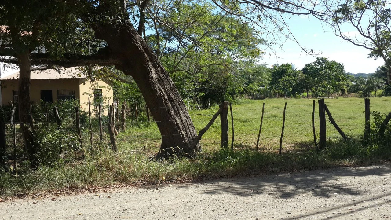 Ganga Lote grande: Building Lot for Sale Near Guanacaste’s Gold Coast - Gallery image 2