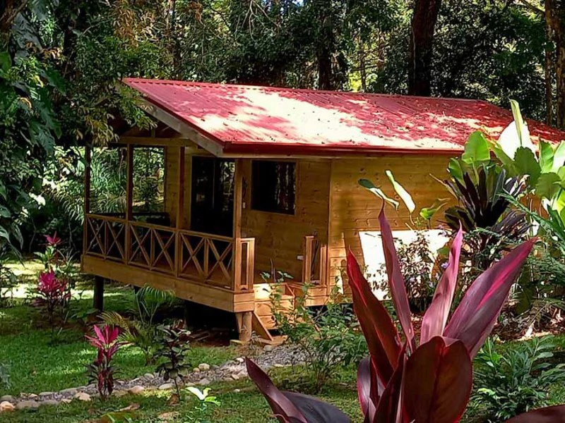 8 Cabinas with Swimming Pool on Lush Jungle Property in Uvita - Gallery image 38