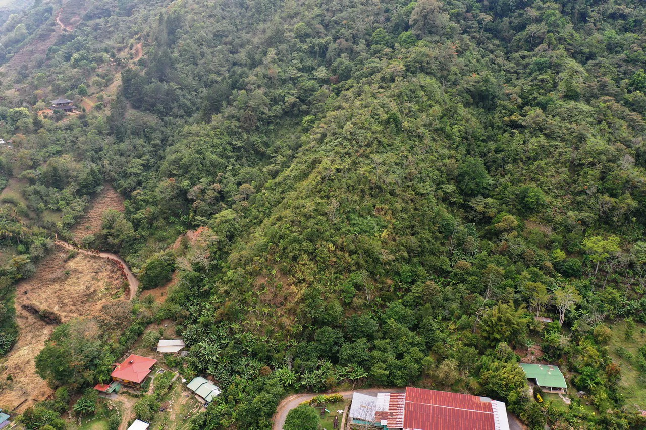 Canaan de Rivas 10 acres Above San Isidro - Gallery image 13