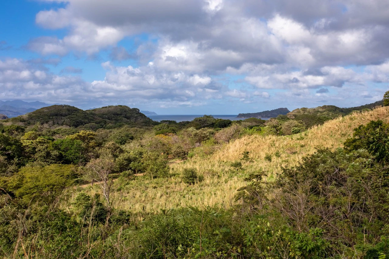 220 Acres Beachside Farm with Ocean View at Playa Junquillal in Guanacaste - Gallery image 13