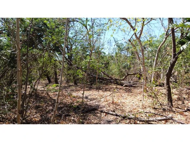 3 Flat topography properties for sale near Playas del Coco, Great building potential in the province of Guanacaste - Gallery image 6
