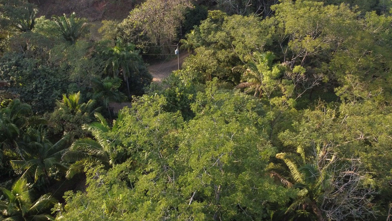 Gated Community Jungle View Lot: Near the Coast Home Construction Site For Sale in Sámara - Gallery image 8