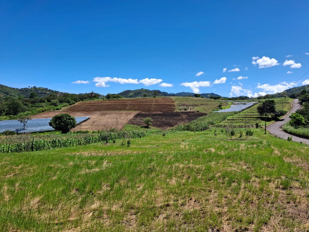 Attn: Developers!: 10 ha Prime Development Land Near Booming Free Zone Corridor - Gallery image 2