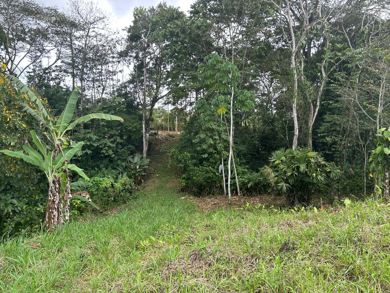 $8 Dollars per meter: Countryside Development Parcel For Sale in Los Angeles - Gallery image 7