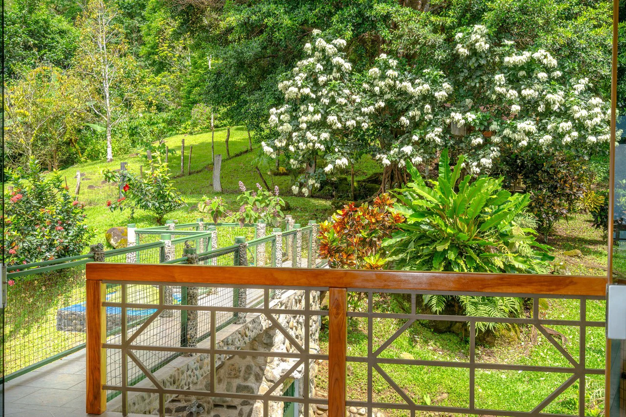 Mountain House For Sale in Savegre - Gallery image 47