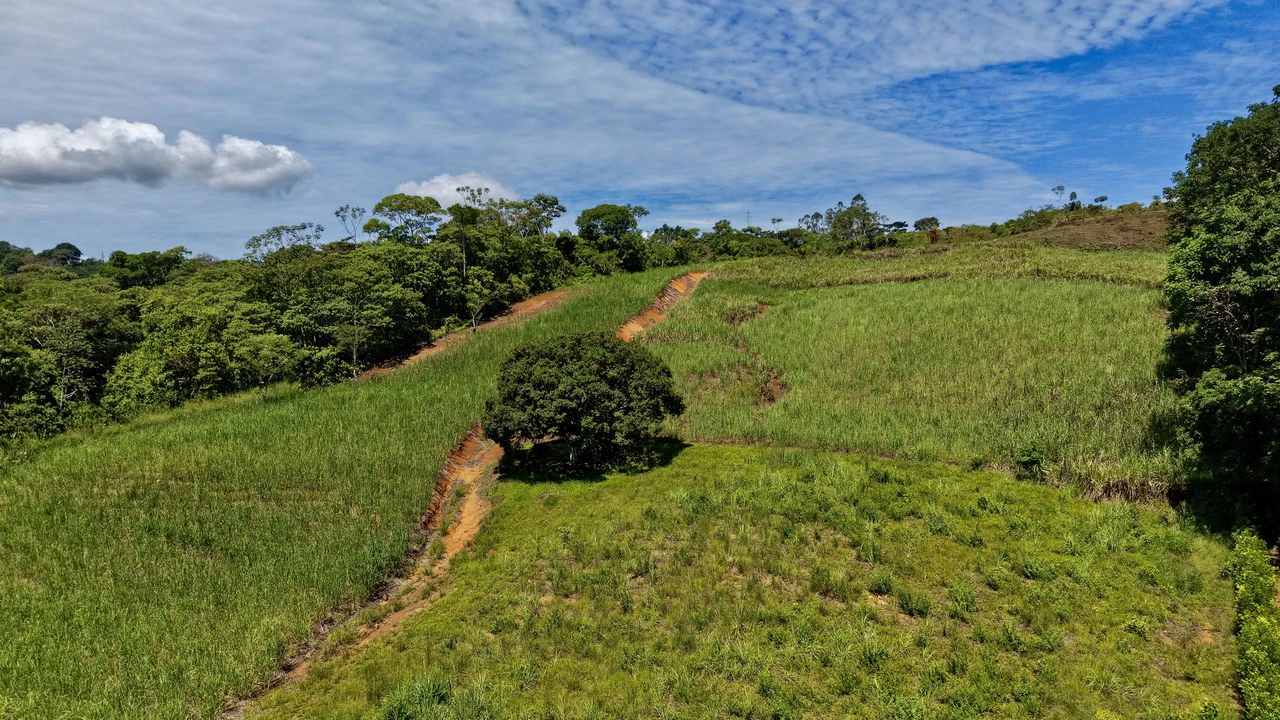 Development Parcel For Sale in Daniel Flores - Gallery image 5