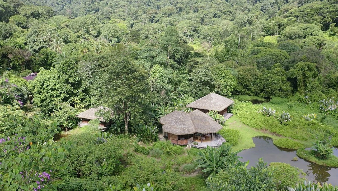 60 Acre Fully Sustainable and Impactful Conservation Initiative Near Golfito: Mountain Multi Unit Building For Sale in Golfito - Gallery image 23