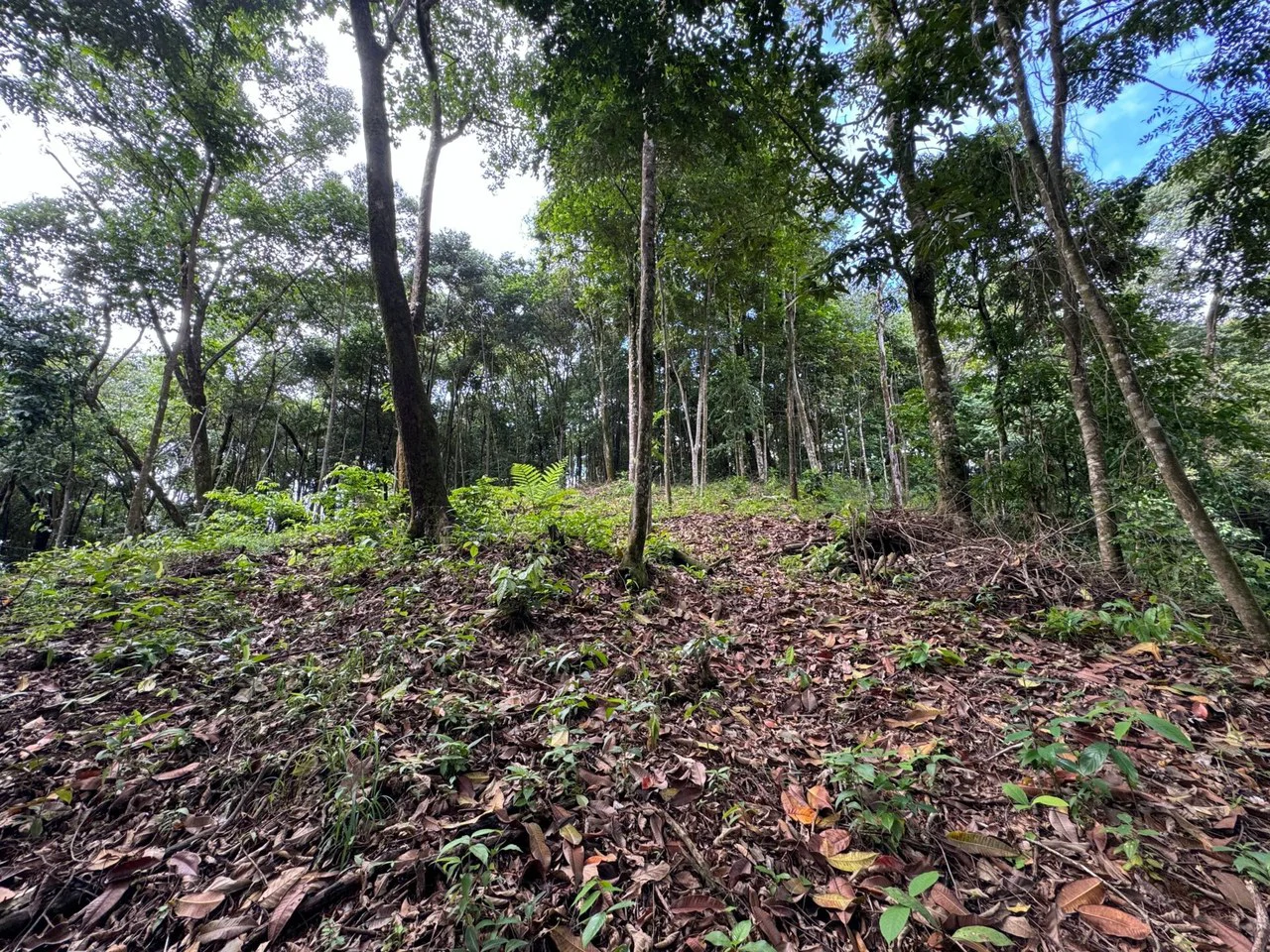 0.5 ACRES – Ocean View Property 1 Min Off Paved Highway In Escaleras Minutes To Dominical And Uvita!!!: Near the Coast and Mountain Home Construction Site For Sale in Dominical - Gallery image 5