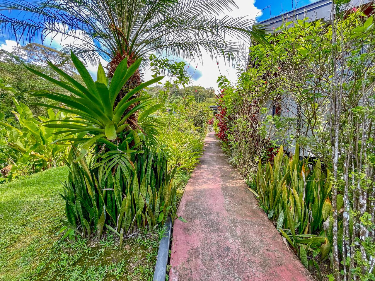 2.24 ACRES – 7 Bedrooms Ocean View Boutique Hotel With Two Pools, 5 Minutes to Uvita, Multiple Rental Options!! - Gallery image 10