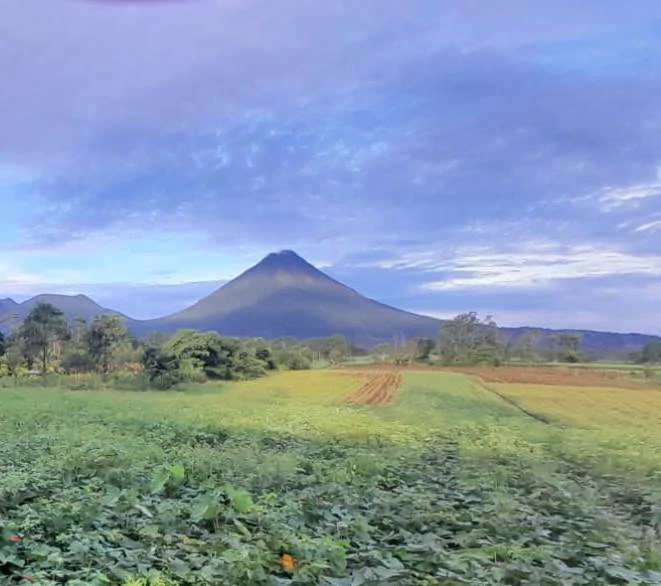 La Fortuna (Arenal) Opportunity!: 4 ha in La Fortuna Tourist Hotspot! USO: Hotel | Commercial | Mixted