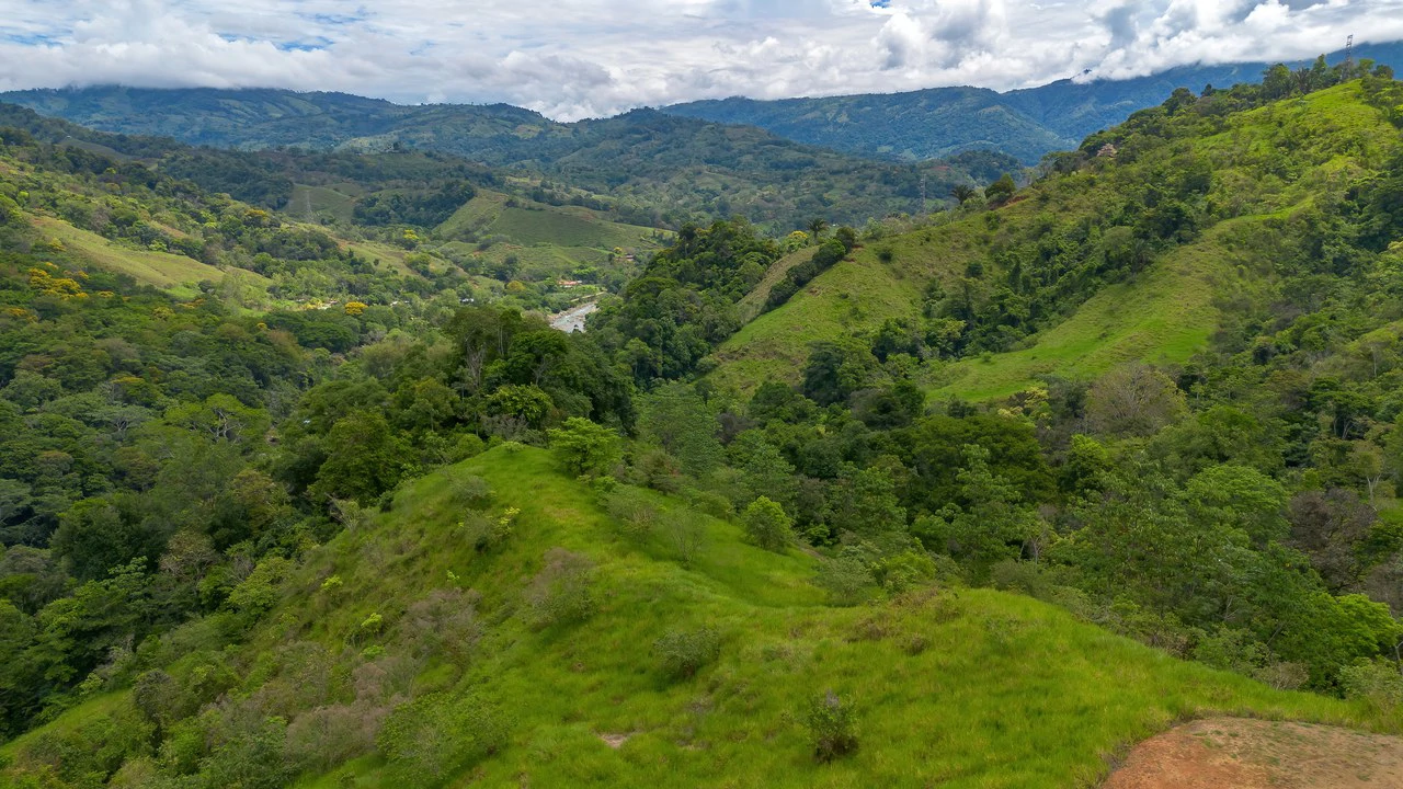 60+ Hectares in Platanillo | Own Your Own Mountain in Costa Rica - Gallery image 34
