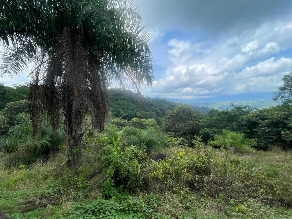 Lot for sale in Residential Vista Mar ocean and mountains view between San Mateo and Orotina Alajuela Costa Rica - Gallery image 3