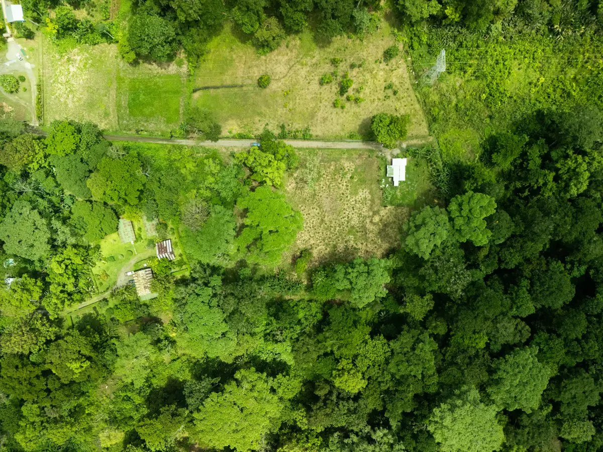 ID 1134: 3960m² Flat Development Lot Near Cahuita, Costa Rica - photo 11