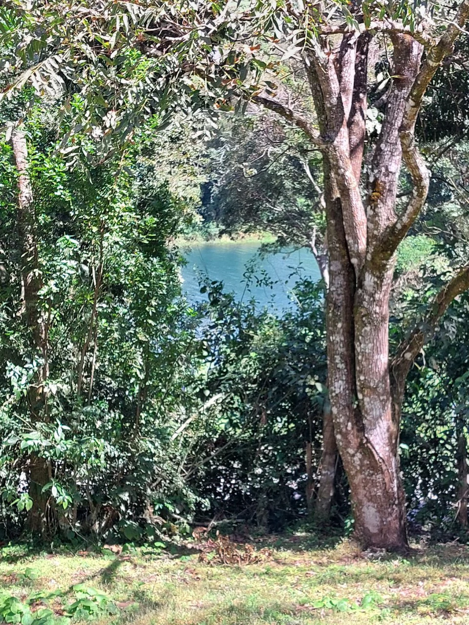 LAGO AZUL: Lake View lot of just under 1 acre - Gallery image 2