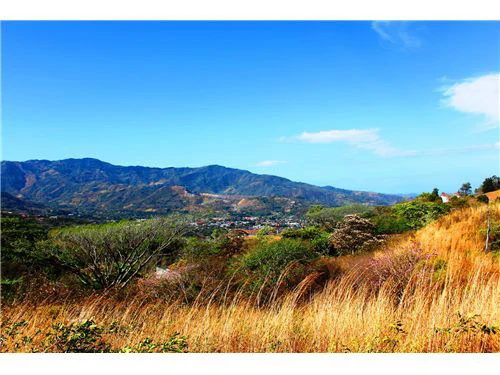900701001-627: Prime Land Next to Villarreal off highway 27 - Gallery image 9