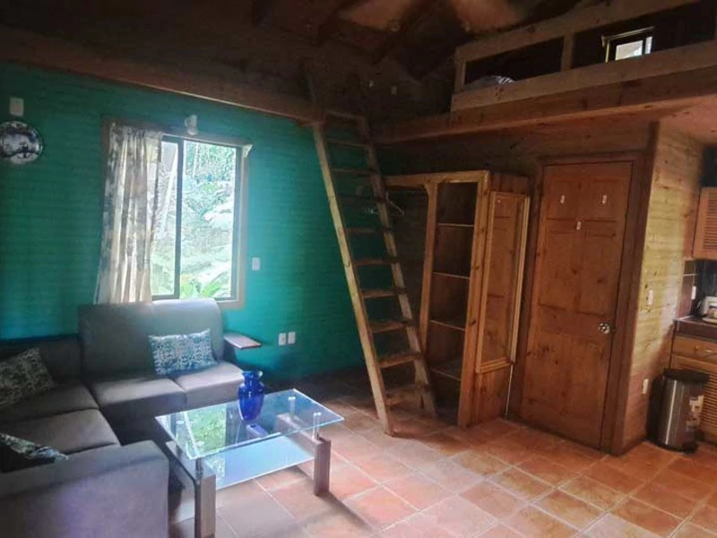 8 Cabinas with Swimming Pool on Lush Jungle Property in Uvita - Gallery image 36