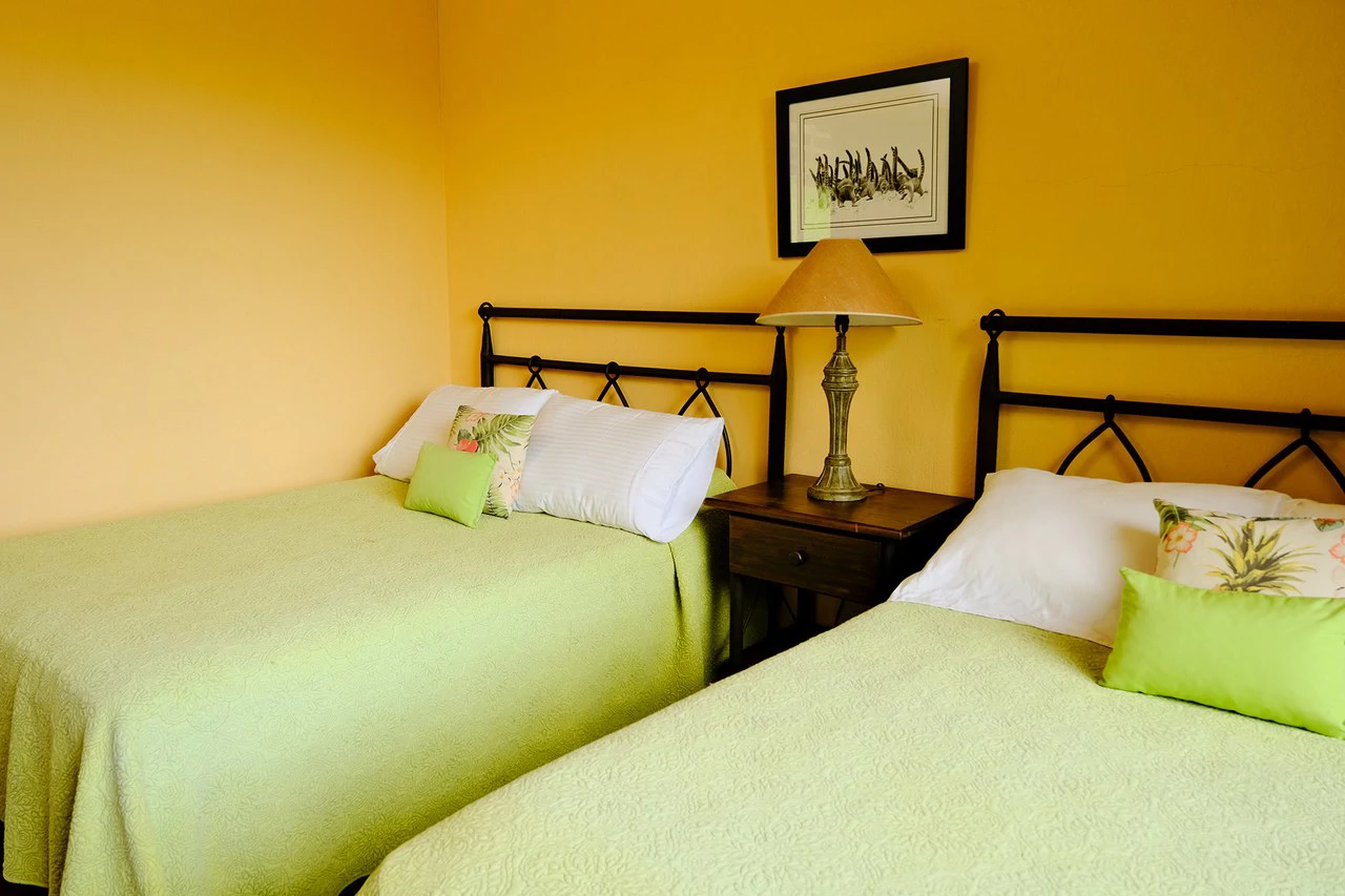 Hidden Paradise in Monteverde. Sierra Verde SV0125: 5 Hectares with Spectacular Views, a Beautiful and Cozy Main House and Caretaker’s Home Just 10 Minutes from Monteverde - Gallery image 36