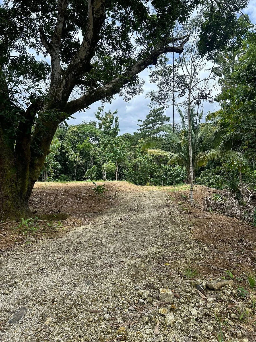 River Frontage Lot For Sale in Costa Rica Residential & Commercial Zoning - Gallery image 19
