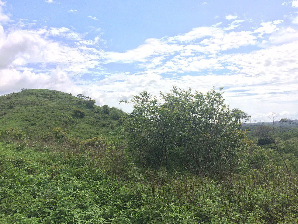 Mountain Property for Sale with charming 360º views of Guayabos Valley and the Volcanoes - Gallery image 16