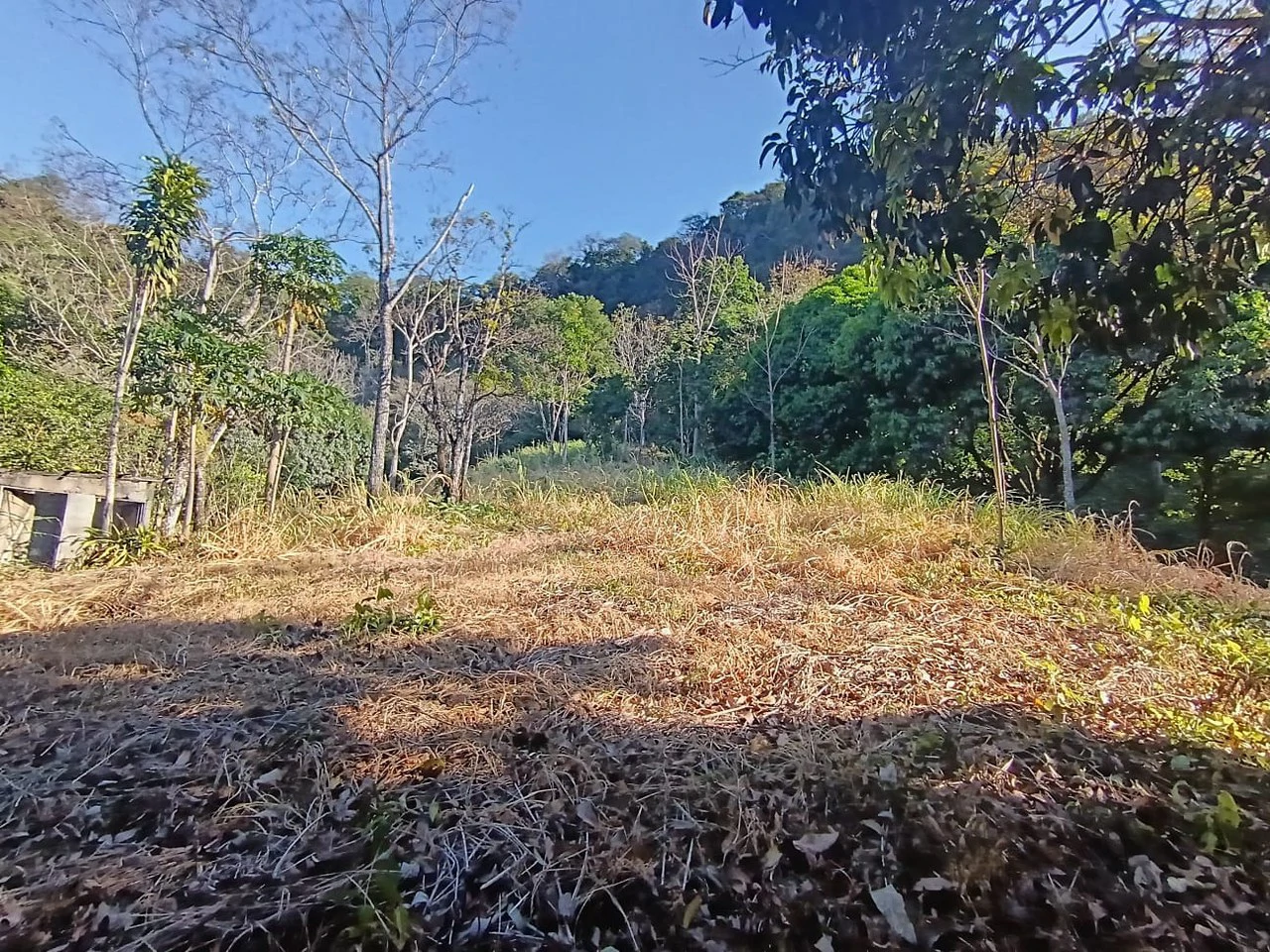 Property for sale in Ciudad Colon San José Costa Rica - Gallery image 4