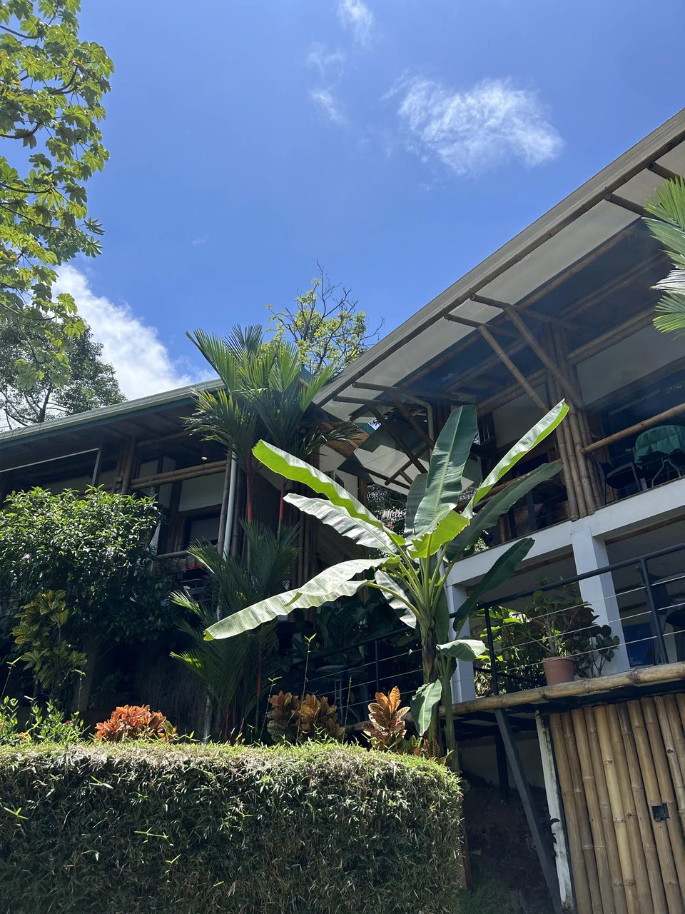 Cabinas Bambura: Cabinas Bambura: Successful Airbnb Business with Stunning Mountain & Jungle View - Gallery image 7