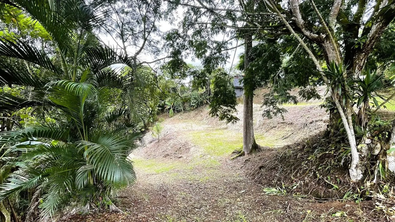 LAND FOR SALE IN SAN MIGUEL, NARANJO - Gallery image 3