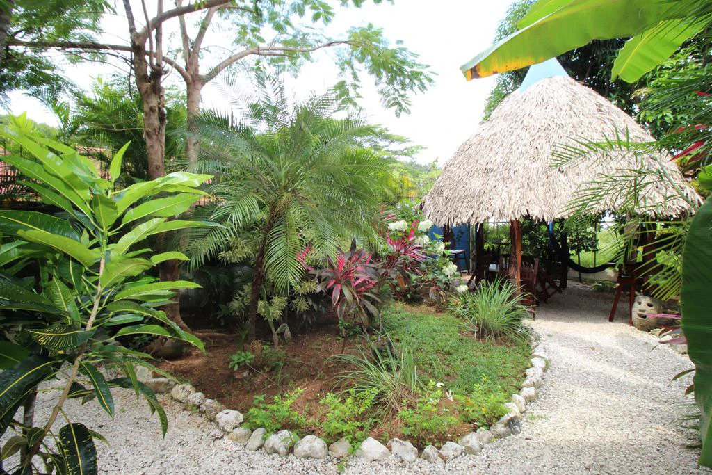 Casa Marina: Unique and cozy apartments, steps from the beach and the village - Gallery image 3