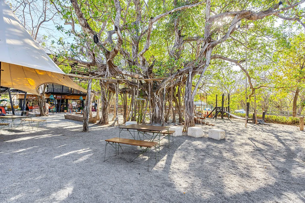 La Esquina de Avellanas: The Premier Commercial Plaza in Playa Avellanas, Costa Rica - Gallery image 11