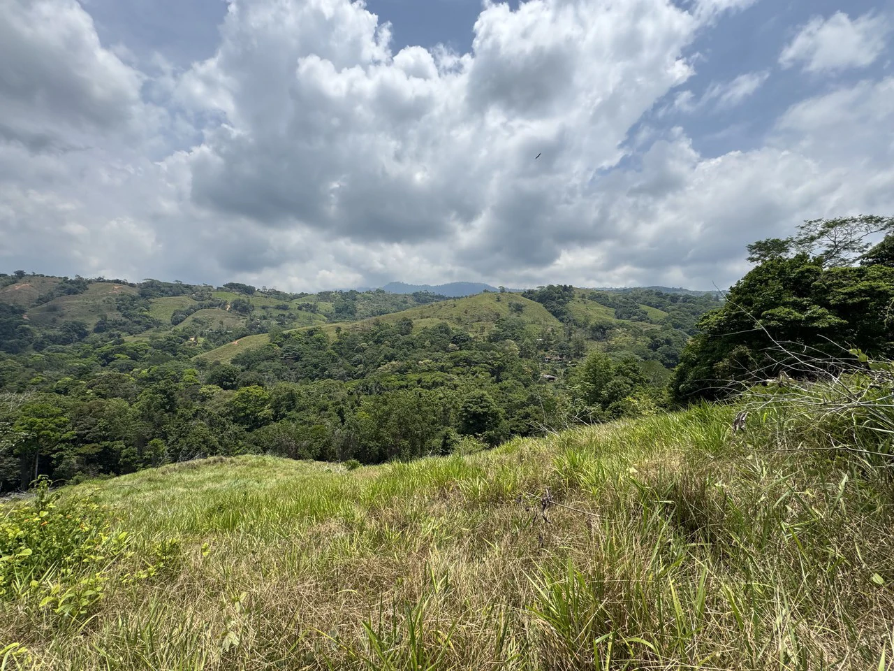 50 Acre Waterfall and River Paradise Above Dominical - Gallery image 61
