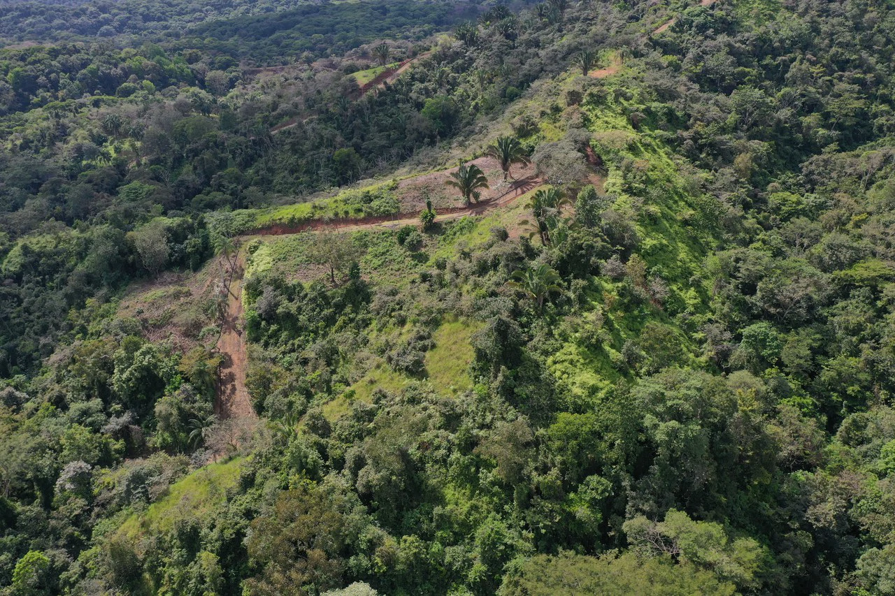 12 Acre Ocean View Farm in a Private Agricultural Community - Gallery image 2