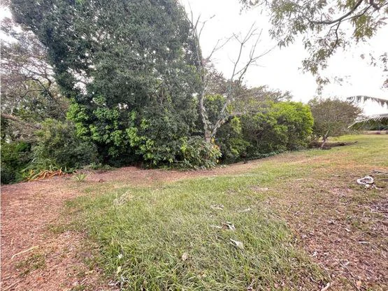 Lote único en Los Reyes - Gallery image 14