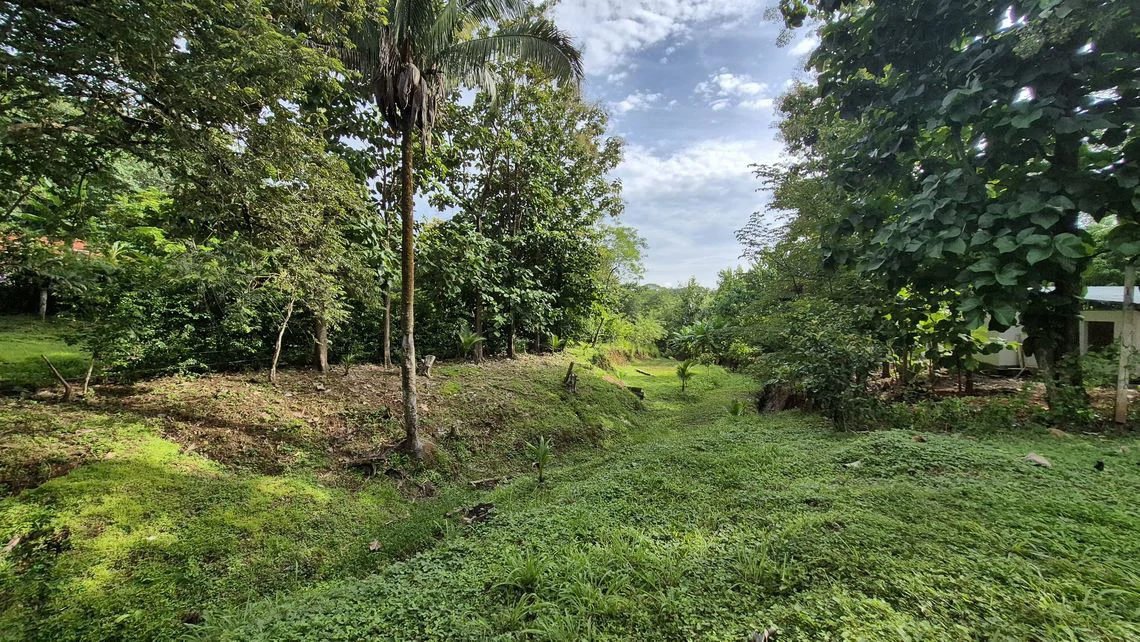 LOTE SERENIDAD: Beautiful 3,554 m² (0.89 Acre) Lot in Peaceful Estrada, Just 10 Minutes from Carillo Beach - Gallery image 8