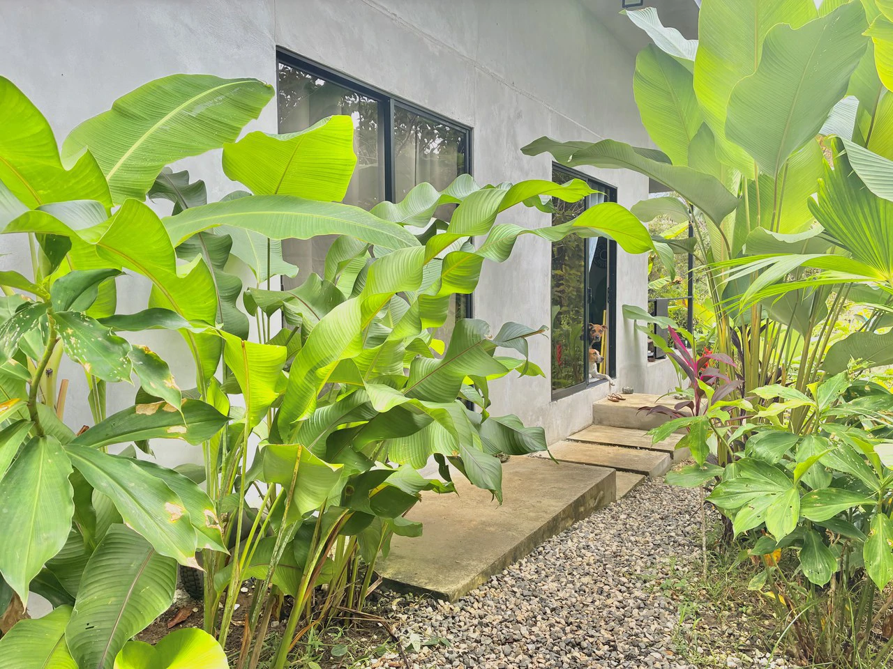 Casa Baja: Near the Coast House For Sale in Pavones - photo 5