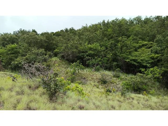 Huge Tico-Farm for sale with a big house in the mountains of Liberia, surrounded by nature and fantastic valley views - Gallery image 31